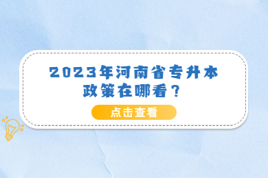 2023年河南省专升本政策在哪看？
