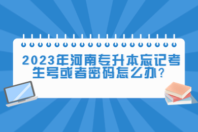 2023年河南专升本忘记考生号或者密码怎么办?