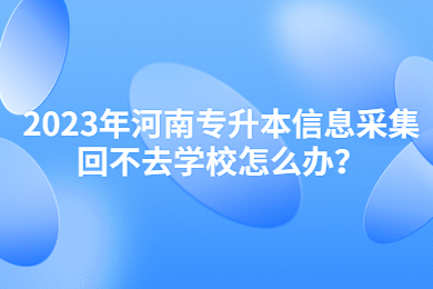 2023年河南专升本信息采集回不去学校怎么办？
