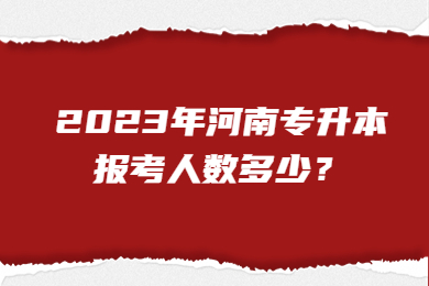 2023年河南专升本报考人数多少？